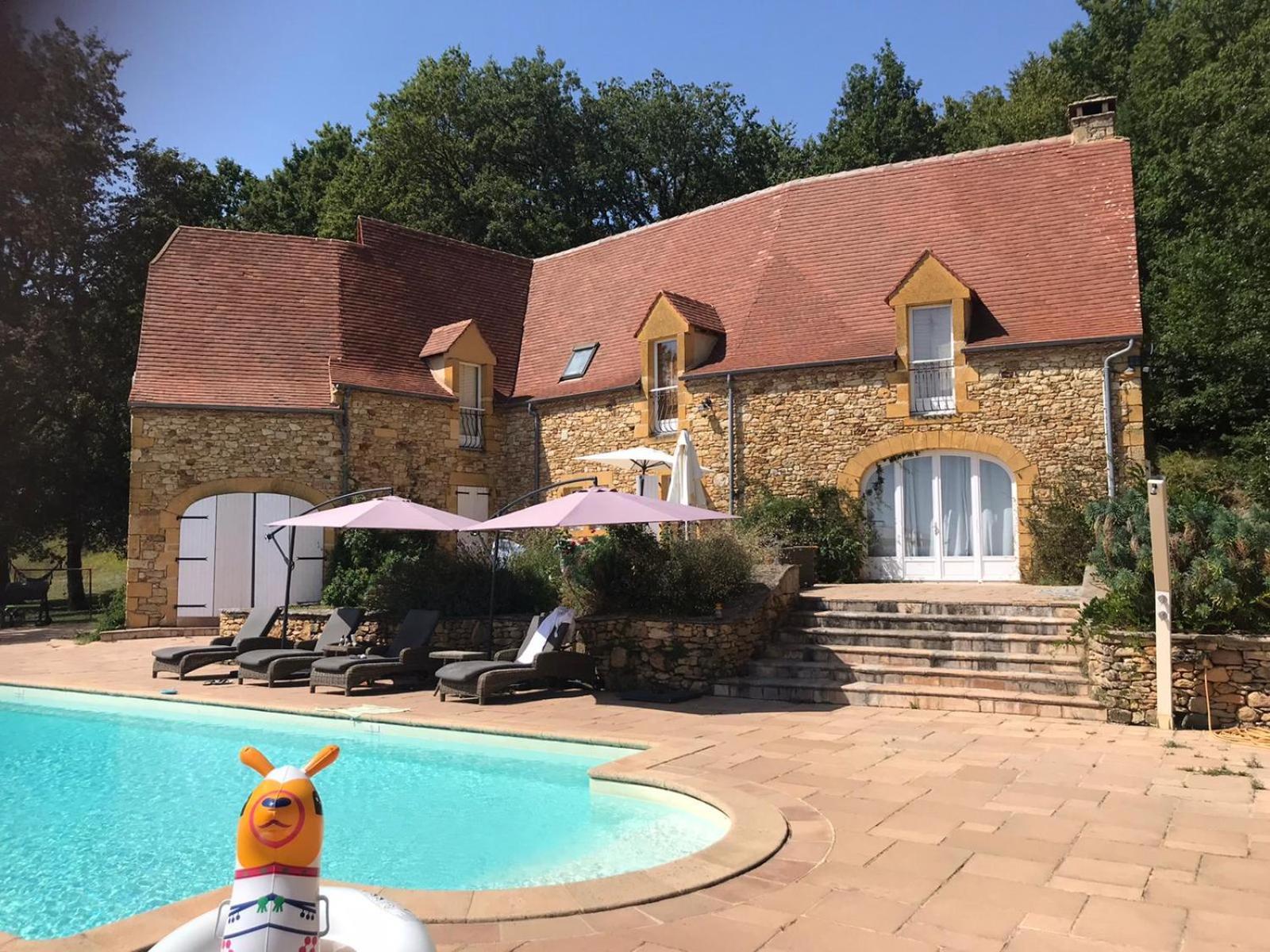 Luxury Chateau W. Pool & Hot Tub In Dordogne Beynac-et-Cazenac
